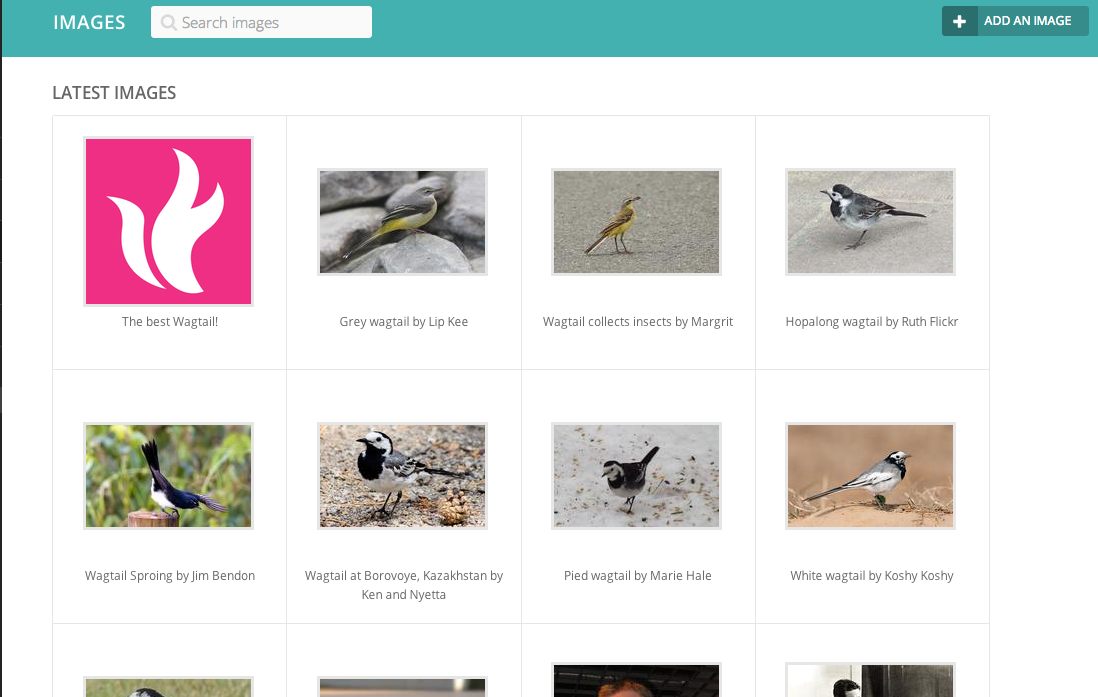 ../../_images/screen31_images_page.png
